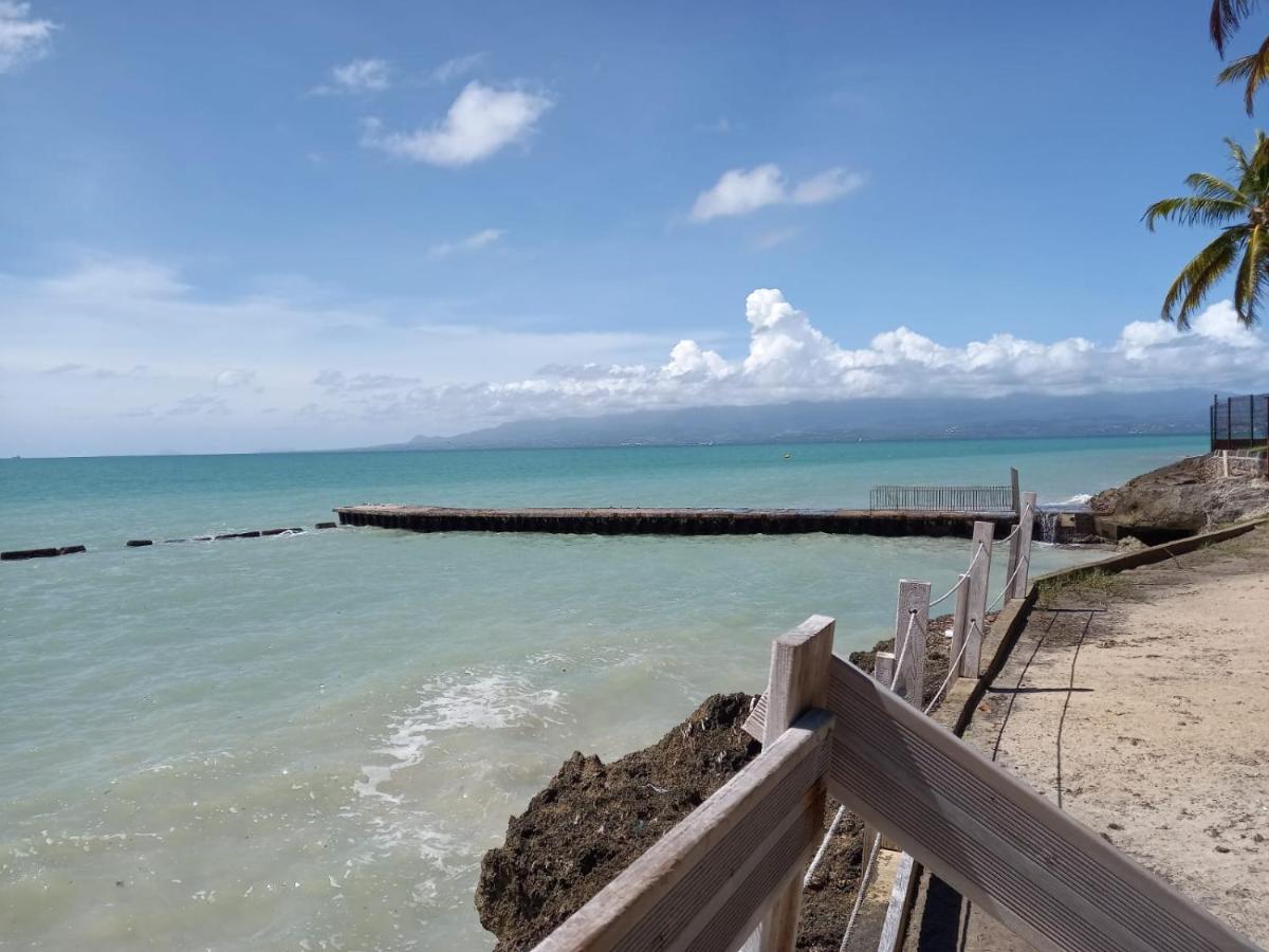 Grand Studio De 41 M², Vue Mer Et Jardin Tropical. ル・ゴジエ エクステリア 写真
