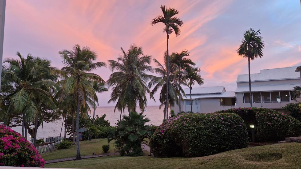 Grand Studio De 41 M², Vue Mer Et Jardin Tropical. ル・ゴジエ エクステリア 写真